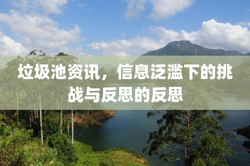 垃圾池资讯，信息泛滥下的挑战与反思的反思