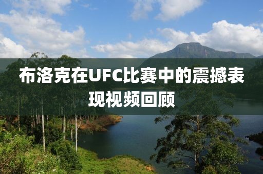 布洛克在UFC比赛中的震撼表现视频回顾