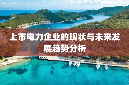 上市电力企业的现状与未来发展趋势分析