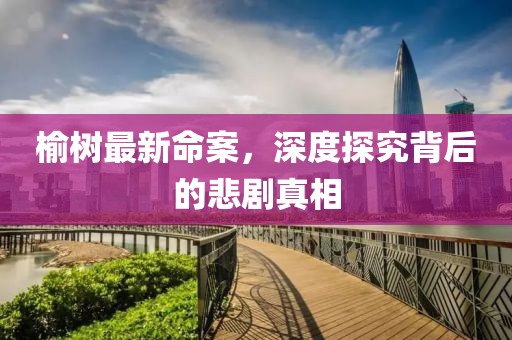 榆树最新命案，深度探究背后的悲剧真相
