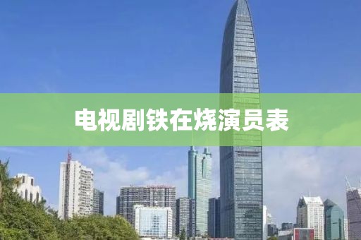 电视剧铁在烧演员表