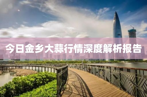 今日金乡大蒜行情深度解析报告