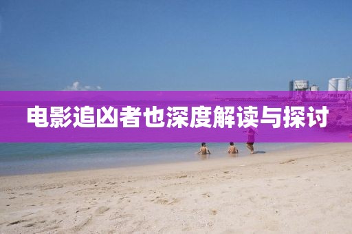 电影追凶者也深度解读与探讨
