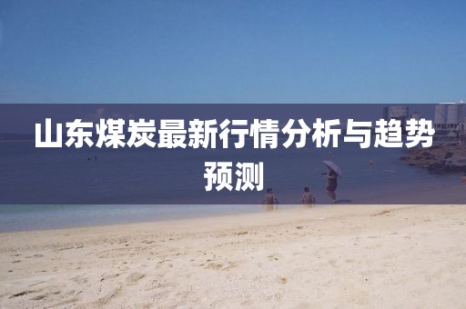 山东煤炭最新行情分析与趋势预测
