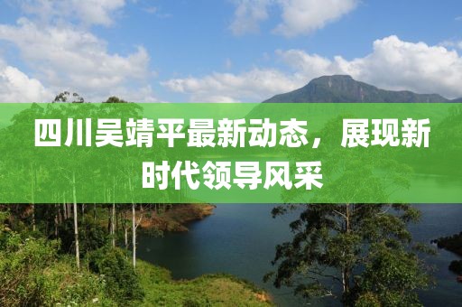 四川吴靖平最新动态，展现新时代领导风采
