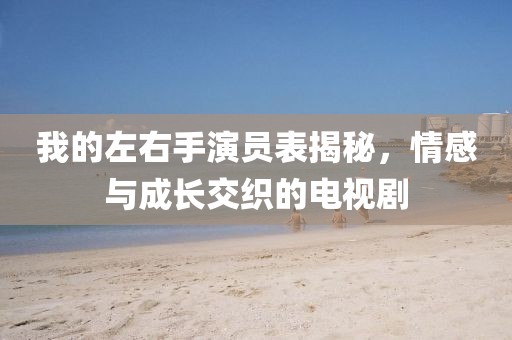 我的左右手演员表揭秘，情感与成长交织的电视剧