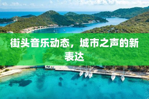 街头音乐动态，城市之声的新表达