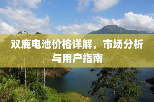 双鹿电池价格详解，市场分析与用户指南