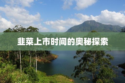 骑猪兜风 第22页