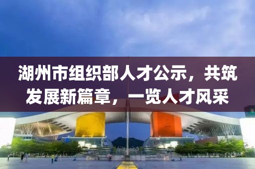 湖州市组织部人才公示，共筑发展新篇章，一览人才风采