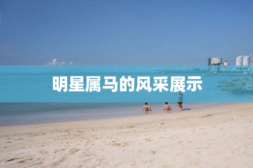 明星属马的风采展示