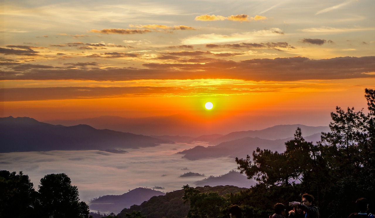 韩东君最新动态揭秘，多才多艺明星之旅的探寻