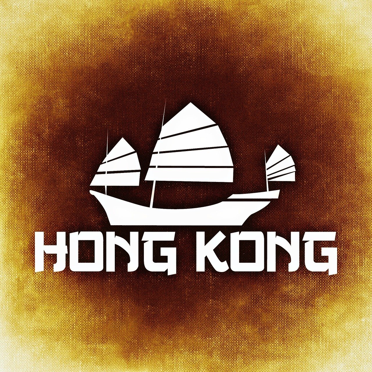 香港二四六开奖结果+开奖记录4,探索生命科学的奥秘,保障版175.88