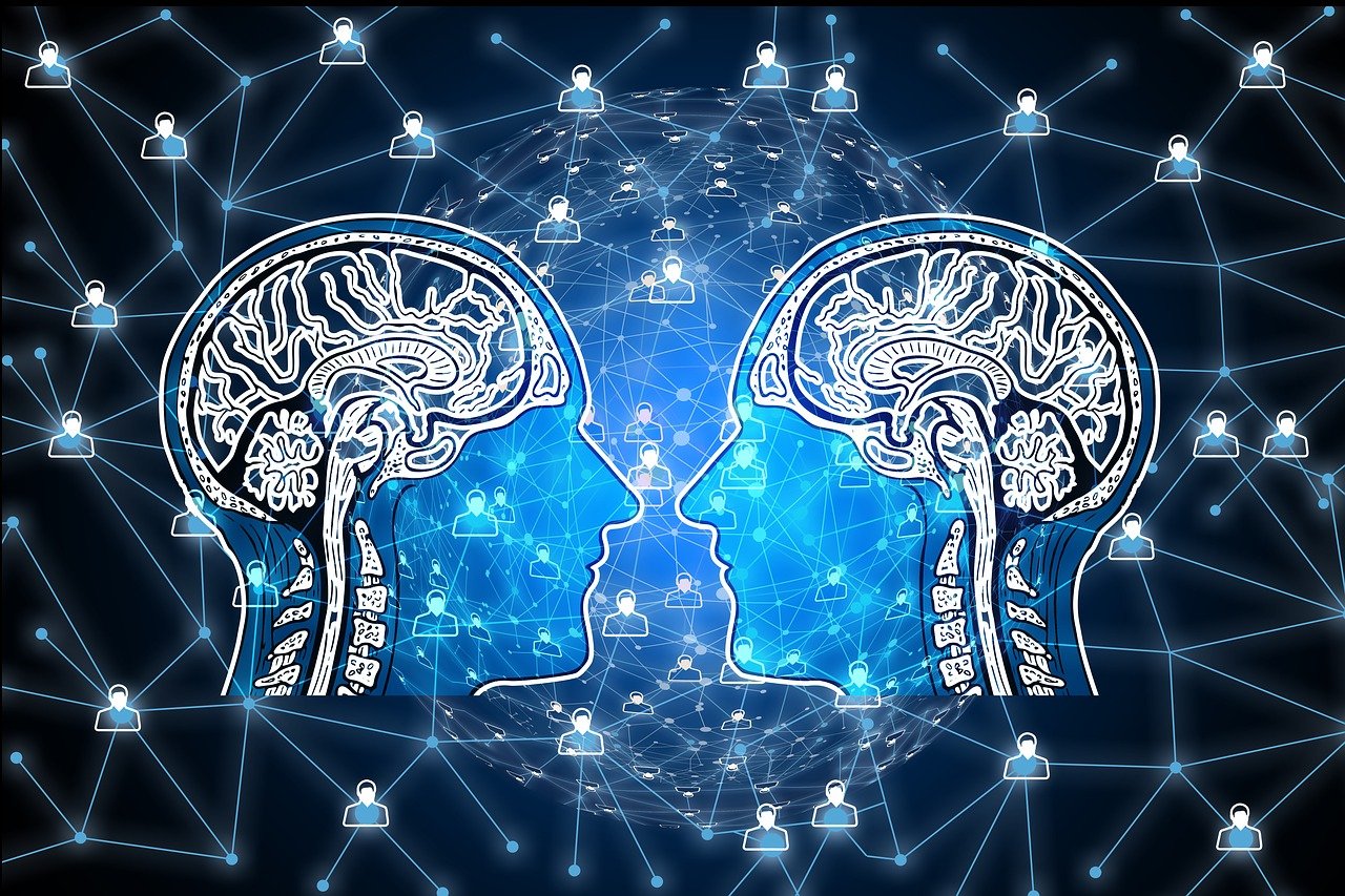 掌握技术前沿的王者，最新抓码王揭秘秘籍