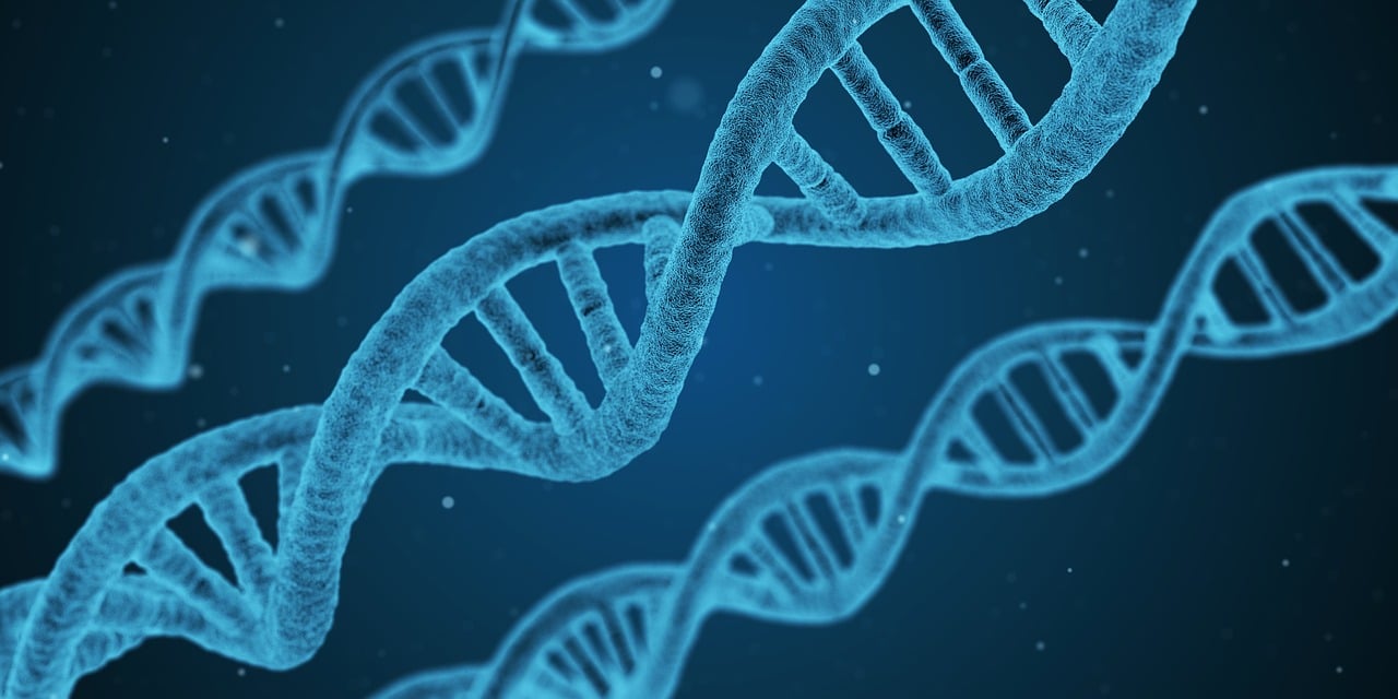 澳门正版精准免费大全，生物工程QA1.135