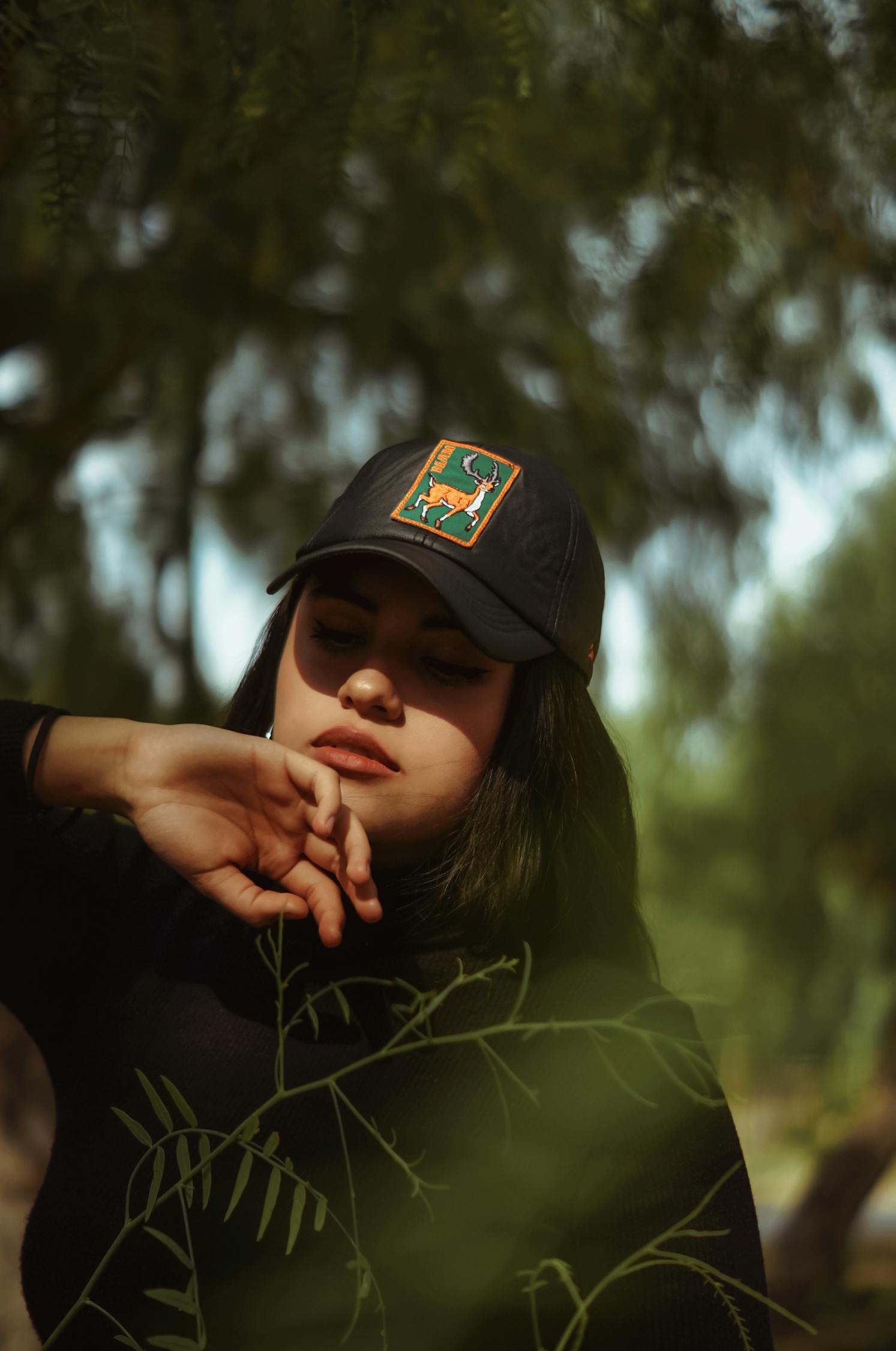 秦朗电视剧，魅力人物与剧情的深度解析