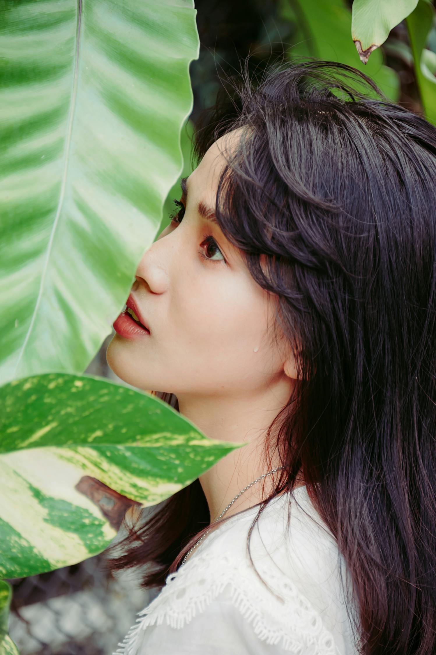 广告女明星，璀璨闪耀的代言人风采
