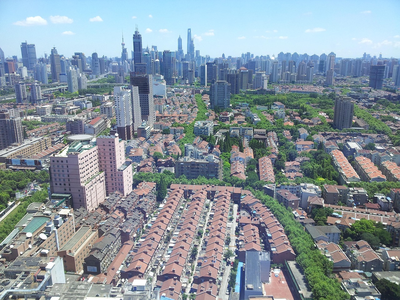 最新油价动态及其对市场的影响分析