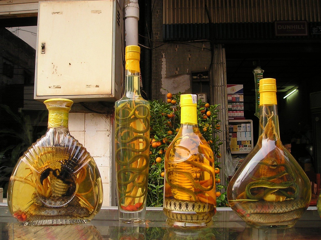 永福酱酒53度价格详解