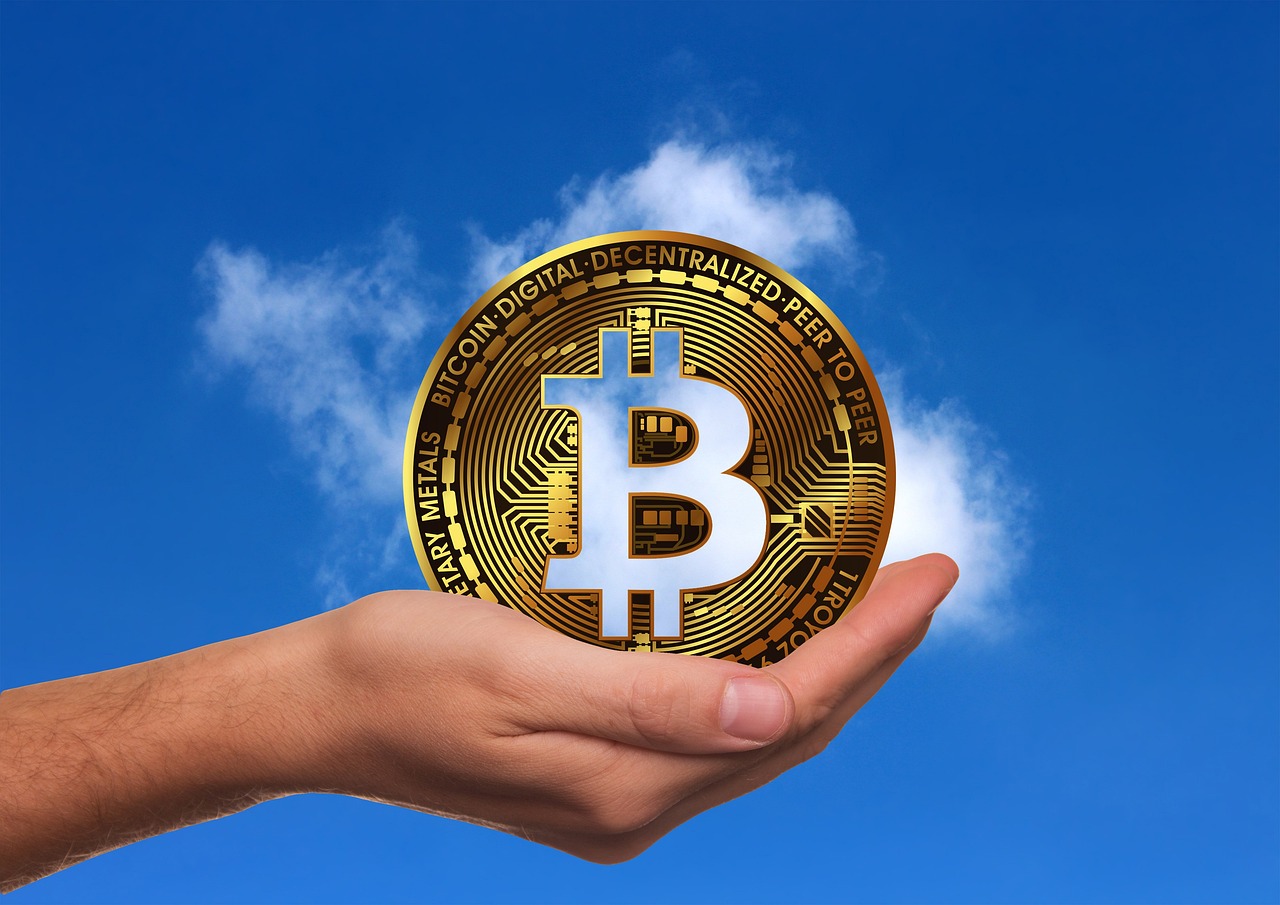 玉米最新价格走势图及分析概览