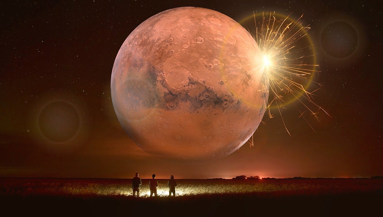 人鱼明星，跨界魅力展现奇幻之旅