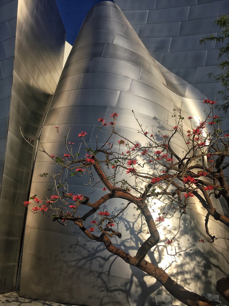 保定漕河规划最新动态，城市发展的蓝图与未来展望