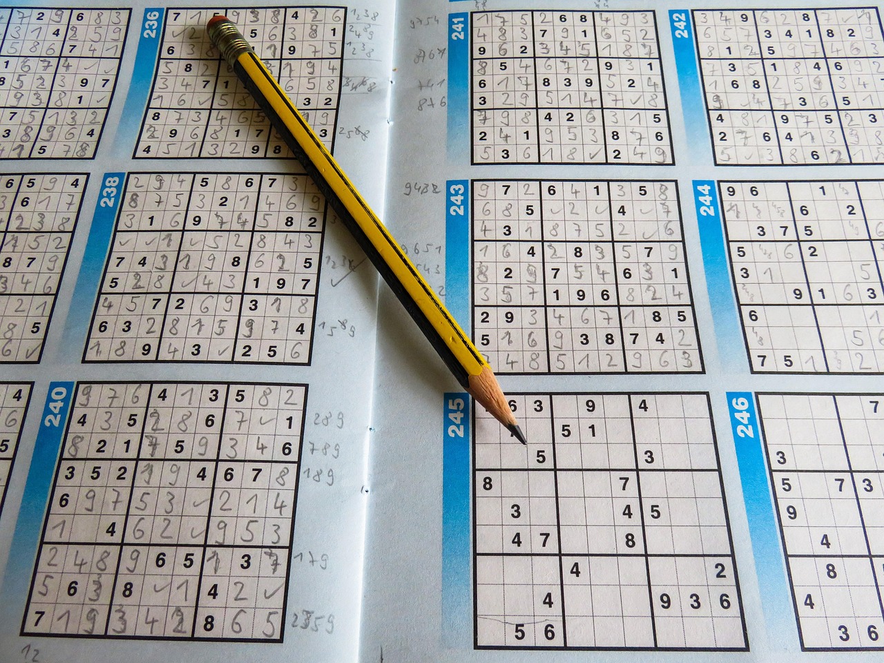 接力比赛，激情与荣耀的时刻作文