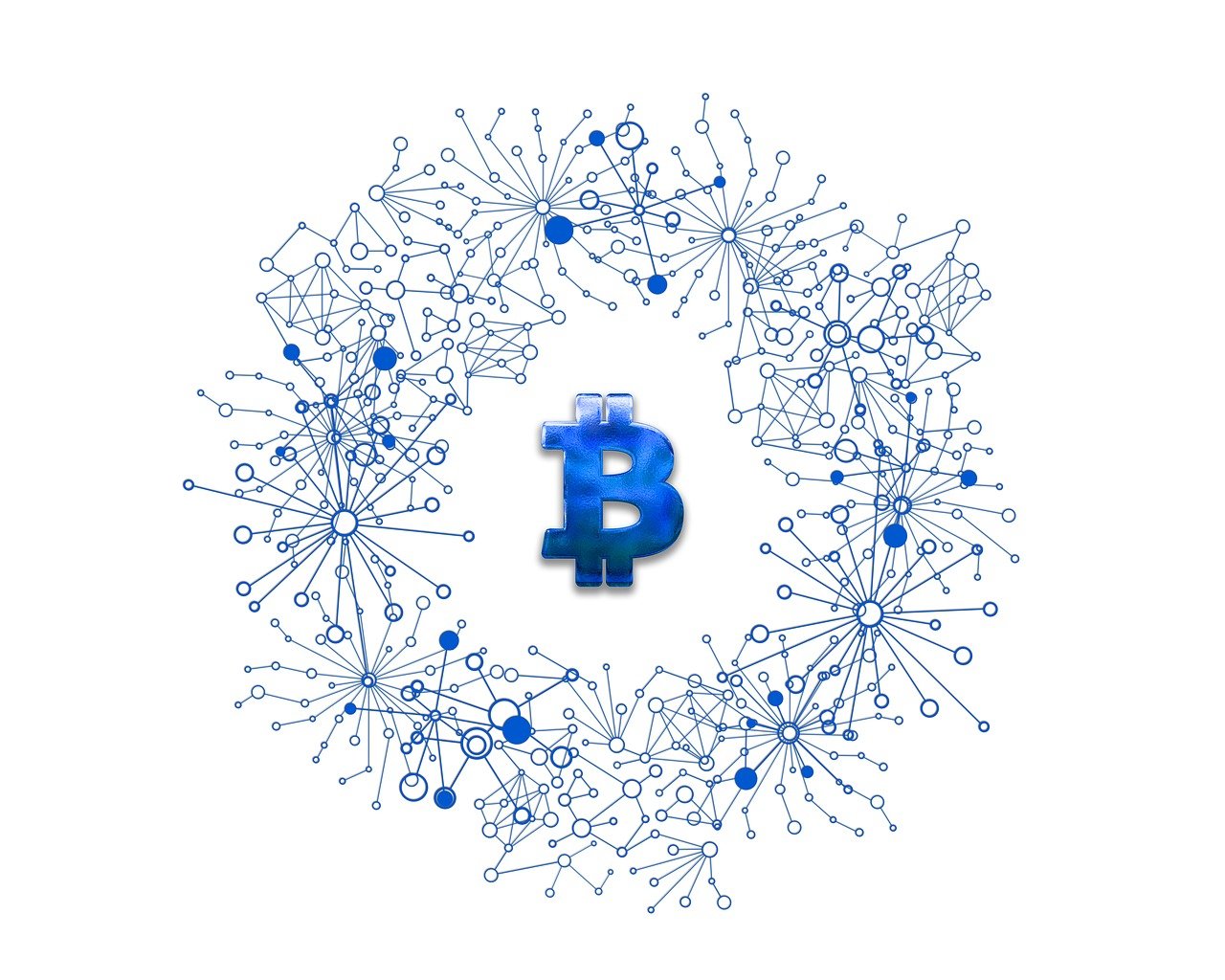 鲸钱包最新动态引领数字金融新风潮