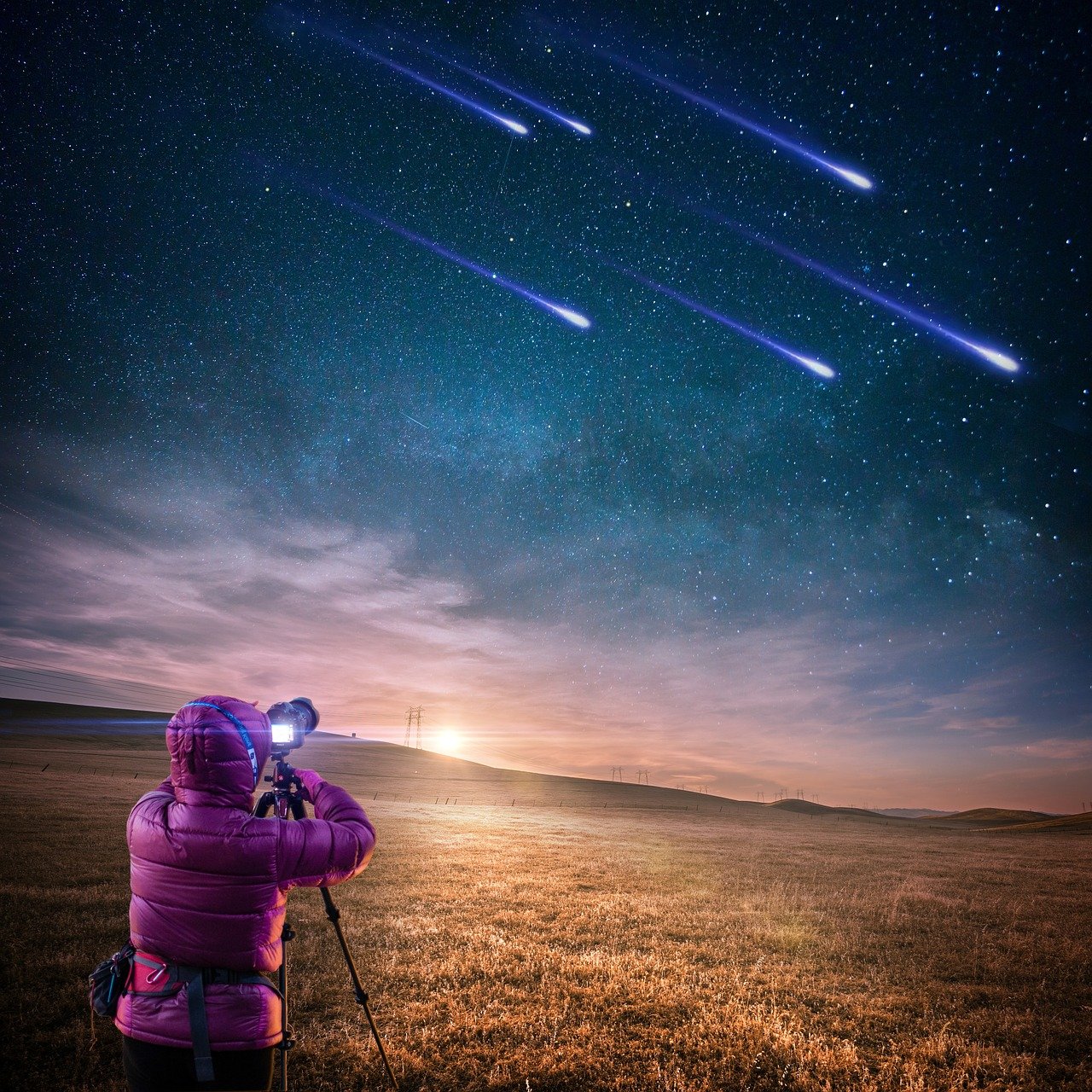 退役明星，星光之后的全新篇章