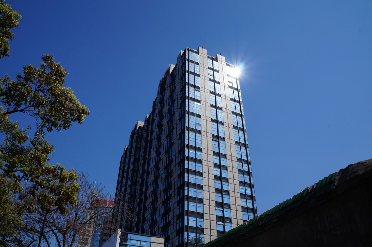 仪陇新政最新楼盘热销现象深度解析及市场趋势探讨