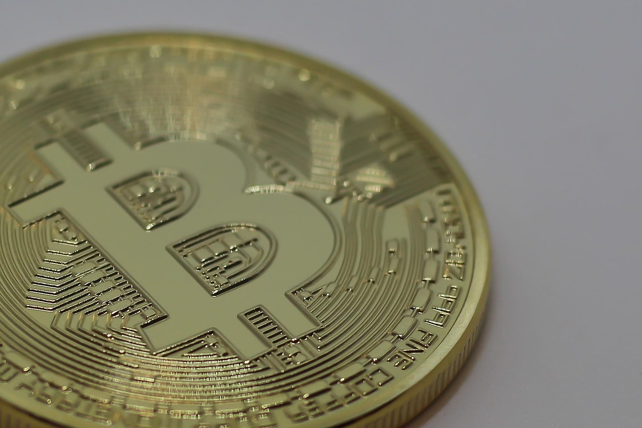 全国葵花价格最新行情分析与趋势预测