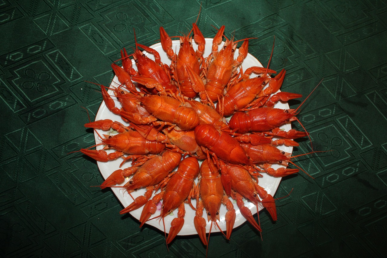 近期小龙虾价格行情走势及分析