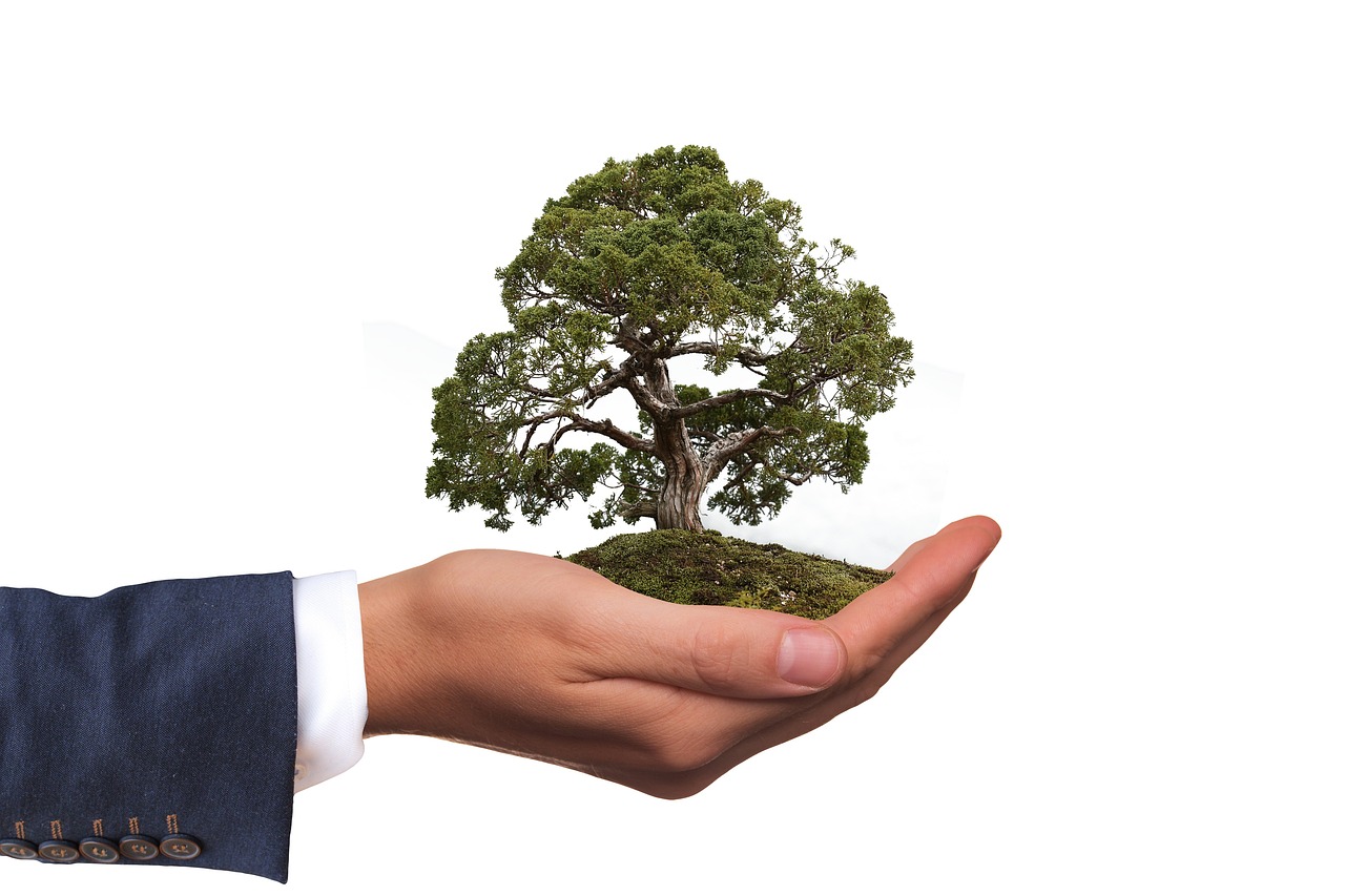 四环生物行情深度探索与洞察