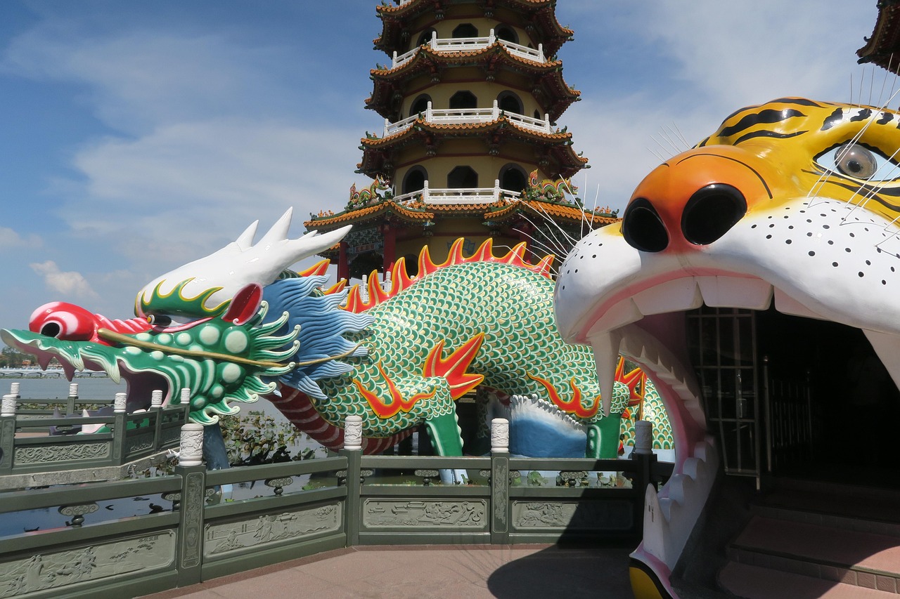 五月动漫之星，阿衰的奇幻之旅